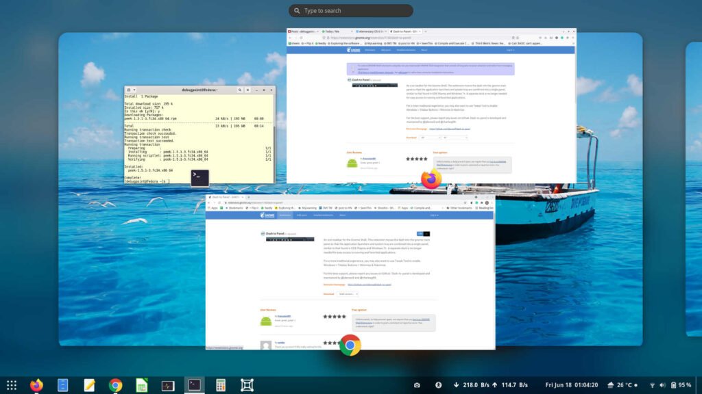 Overview with Dash to Panel