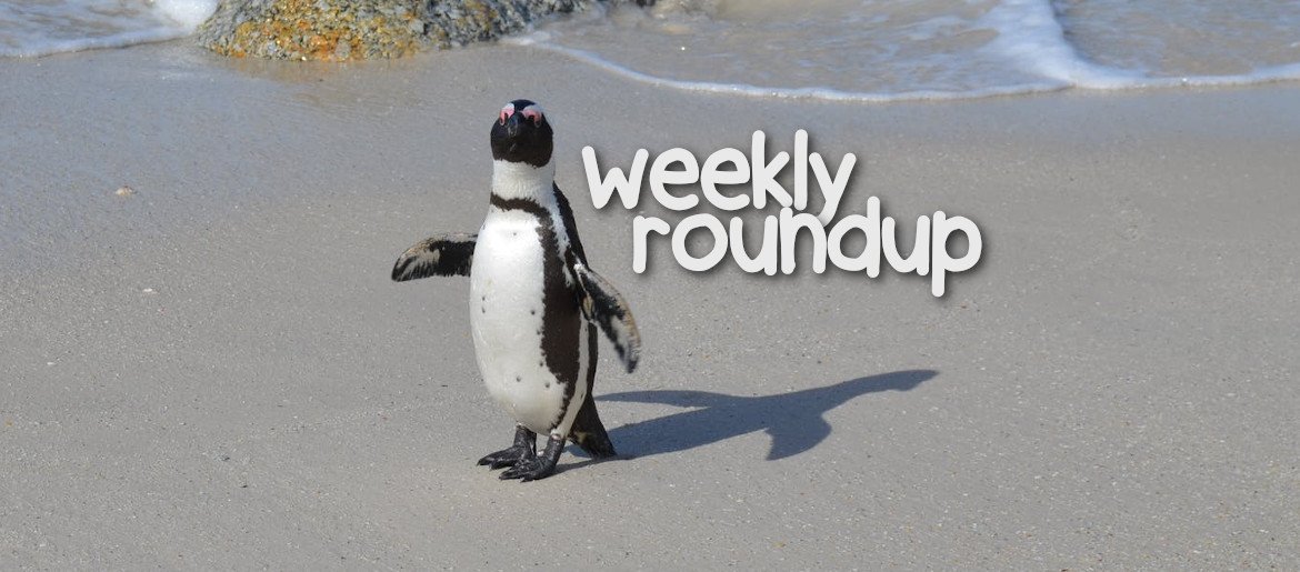 Weekly Roundup - Oct 25 2020