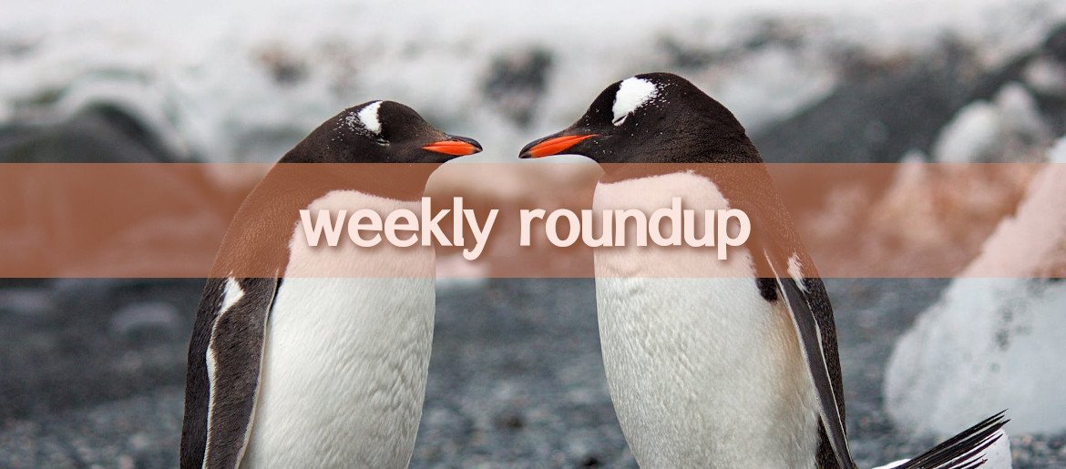 Weekly Roundup
