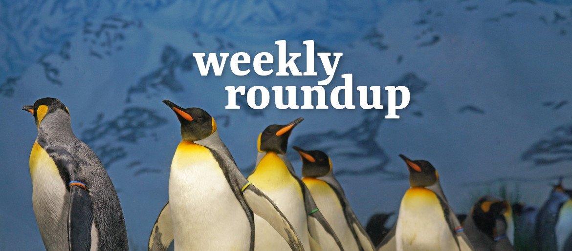 Weekly Roundup