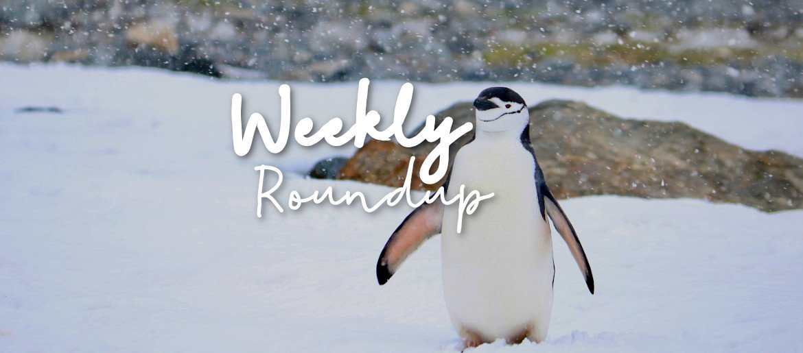 Weekly Roundup