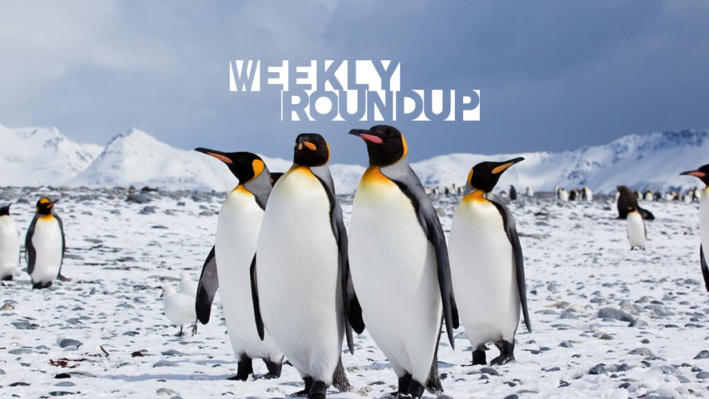 Weekly Roundup - Feb 7, 2021