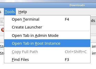 Launcher option and root instance in File Manager