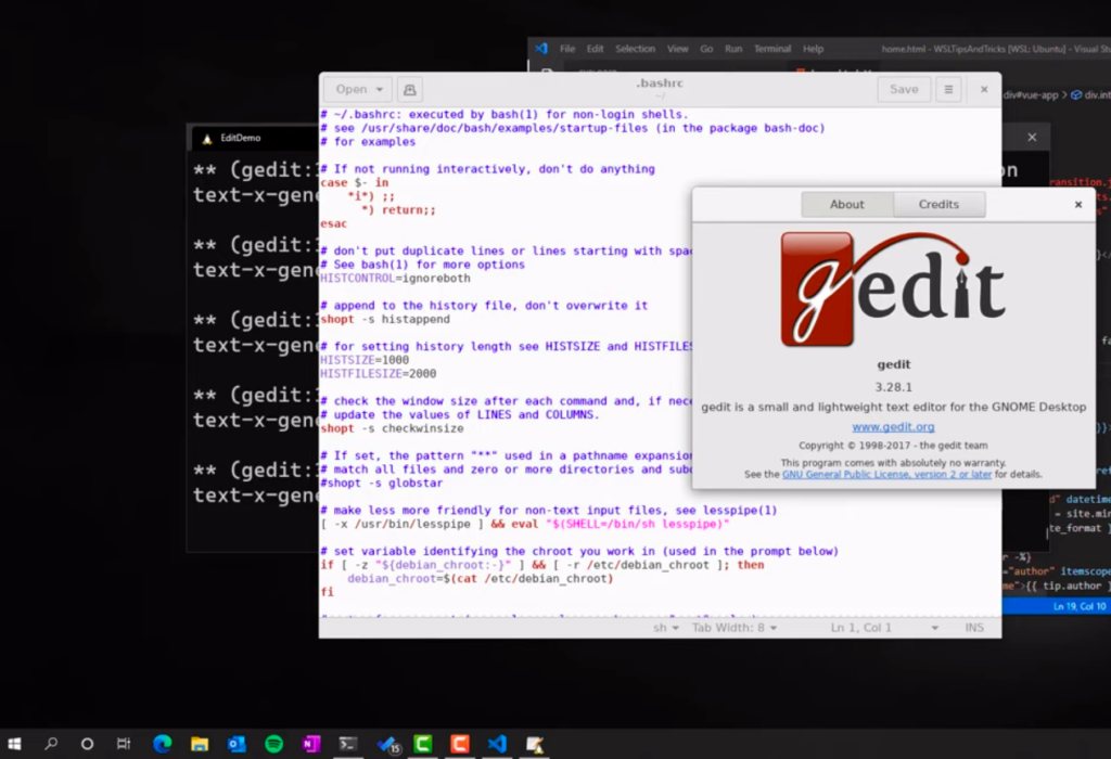 running gedit in ubuntu terminal on windows