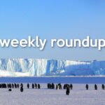 Weekly Roundup - May 2 2021