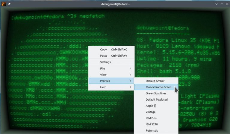 Give your Terminal a Retro Look Using Cool Retro Term in Linux