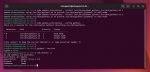 How to Install Python 3.11 in Ubuntu and Other Related Linux