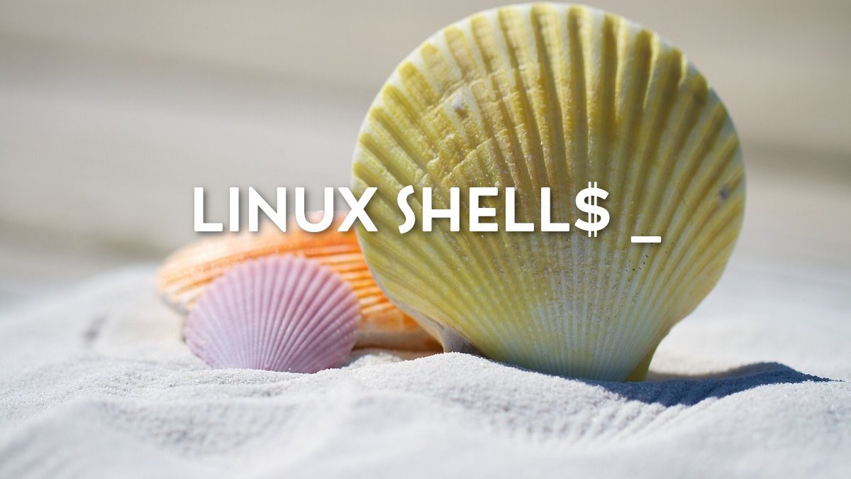 Linux Shells: Bash, Zsh, and Fish Explained