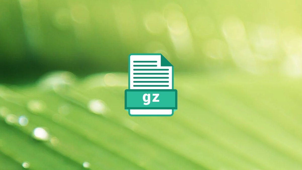 unzip gz file in terminal