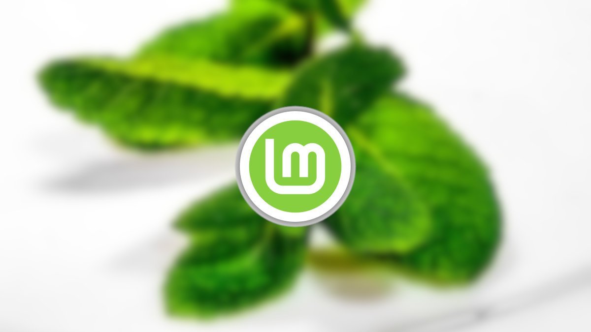 Linux Mint Edge ISO (21.3) Why You Should Use it