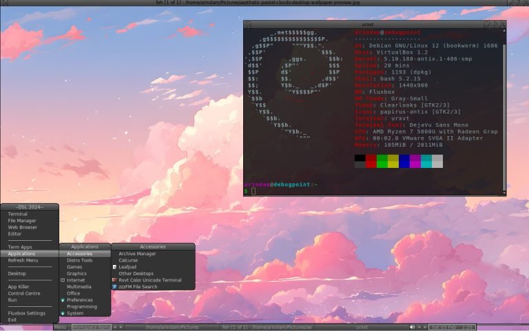 Damn Small Linux 2024: A Revival After 12 Years
