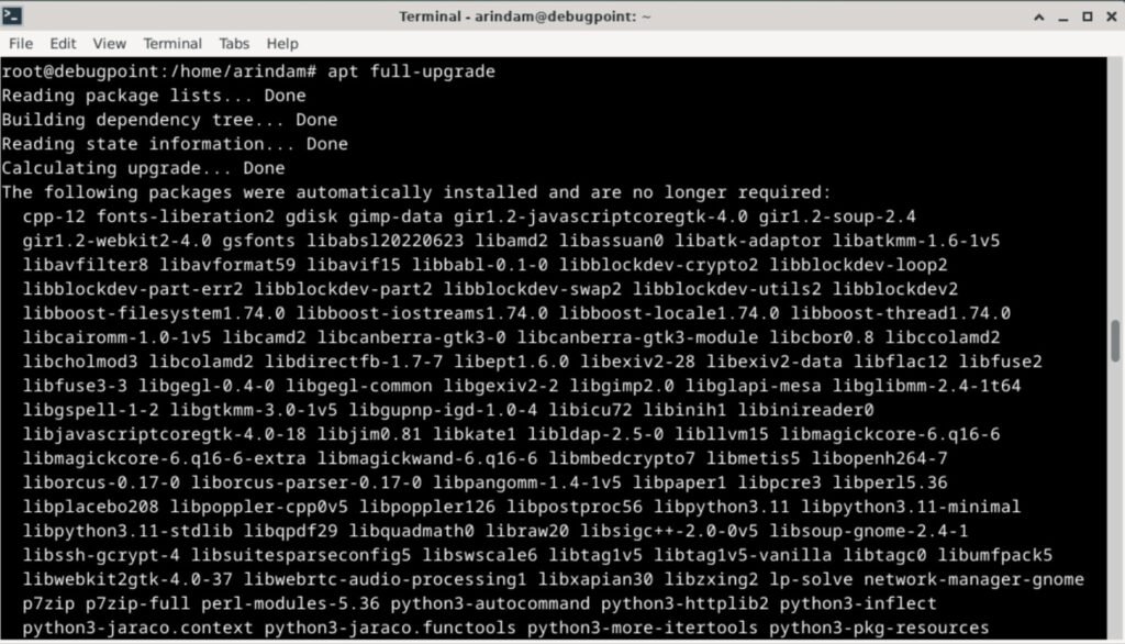Starting the Debian 13 upgrade process